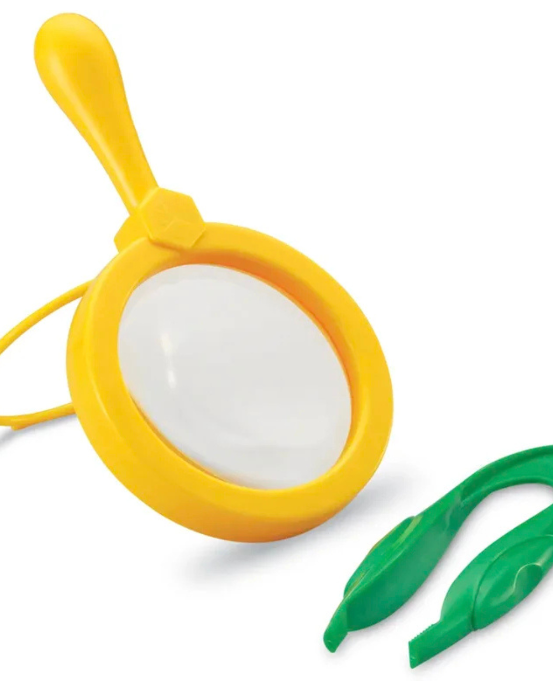 Learning Resources – Lupa a pinzeta pro malé vědce (Primary Science® Magnifier & Tweezers) 2